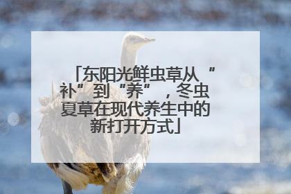 东阳光鲜虫草从“补”到“养”，冬虫夏草在现代养生中的新打开方式