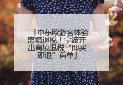 中东欧游客体验离境退税！宁波开出离境退税“即买即退”首单