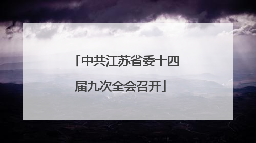 中共江苏省委十四届九次全会召开