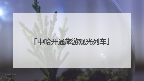 中哈开通旅游观光列车