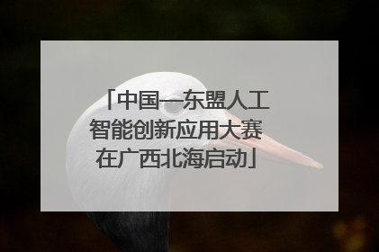 中国—东盟人工智能创新应用大赛在广西北海启动