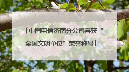 中国电信济南分公司喜获“全国文明单位”荣誉称号