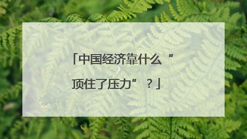 中国经济靠什么“顶住了压力”？
