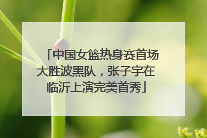 中国女篮热身赛首场大胜波黑队，张子宇在临沂上演完美首秀