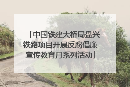 中国铁建大桥局盘兴铁路项目开展反腐倡廉宣传教育月系列活动