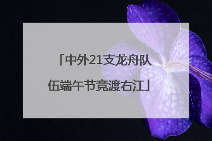 中外21支龙舟队伍端午节竞渡右江