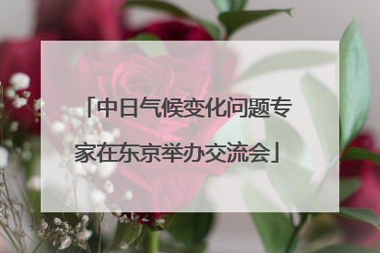 中日气候变化问题专家在东京举办交流会