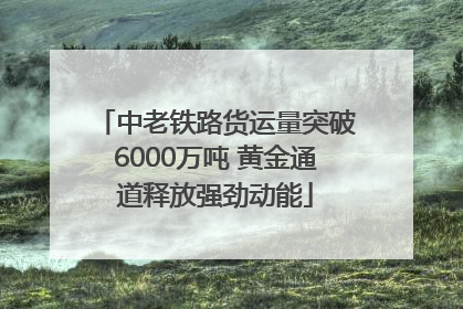 中老铁路货运量突破6000万吨 黄金通道释放强劲动能