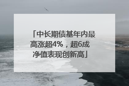 中长期债基年内最高涨超4%，超6成净值表现创新高