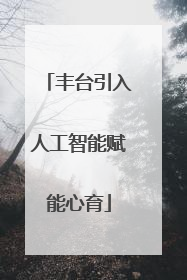 丰台引入人工智能赋能心育