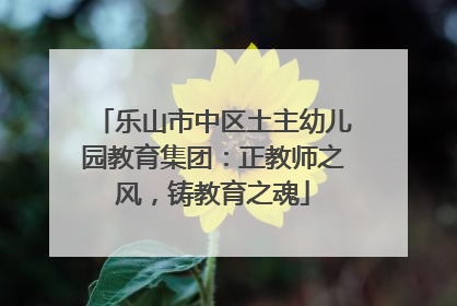 乐山市中区土主幼儿园教育集团：正教师之风，铸教育之魂