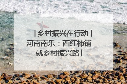 乡村振兴在行动丨河南南乐：西红柿铺就乡村振兴路