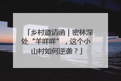 乡村邀请函｜密林深处“羊咩咩”，这个小山村如何逆袭？