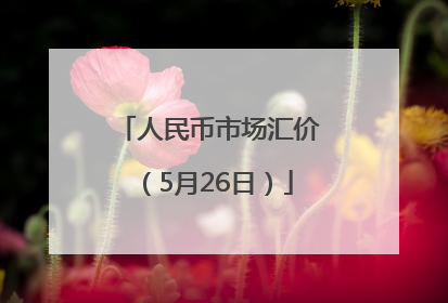 人民币市场汇价（5月26日）