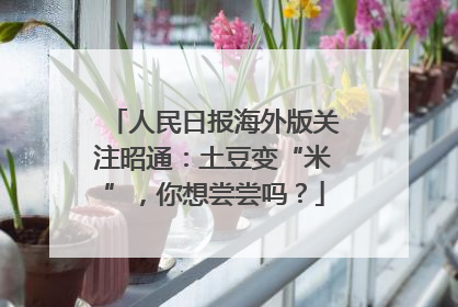 人民日报海外版关注昭通：土豆变“米”，你想尝尝吗？
