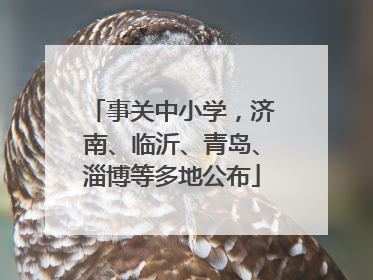 事关中小学，济南、临沂、青岛、淄博等多地公布
