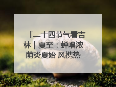 二十四节气看吉林｜夏至：蝉唱浓荫炎夏始 风携热浪白昼长
