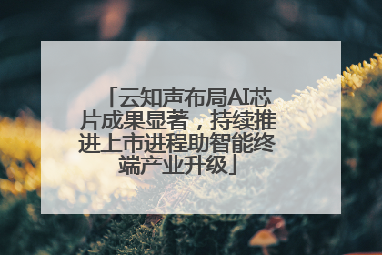 云知声布局AI芯片成果显著，持续推进上市进程助智能终端产业升级