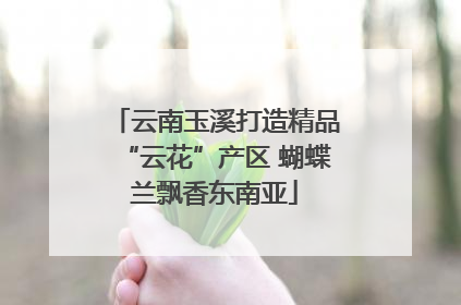 云南玉溪打造精品“云花”产区 蝴蝶兰飘香东南亚