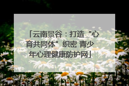云南景谷：打造“心育共同体”织密 青少年心理健康防护网