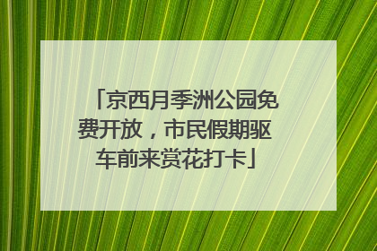 京西月季洲公园免费开放，市民假期驱车前来赏花打卡