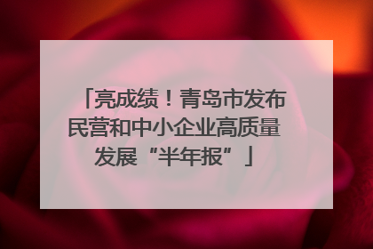 亮成绩！青岛市发布民营和中小企业高质量发展“半年报”