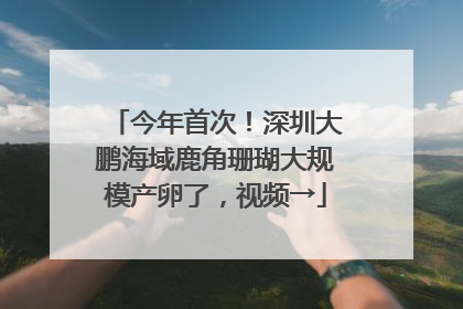 今年首次！深圳大鹏海域鹿角珊瑚大规模产卵了，视频→