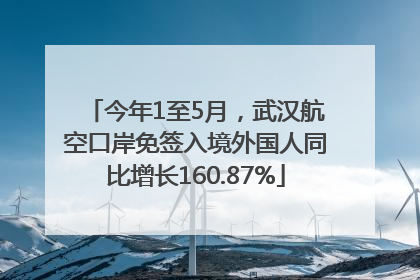 今年1至5月，武汉航空口岸免签入境外国人同比增长160.87%