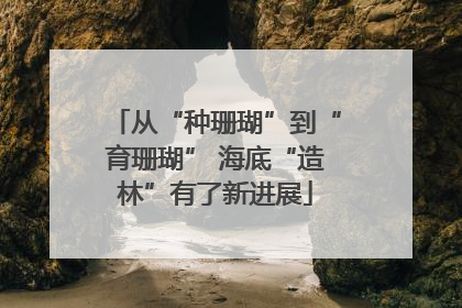 从“种珊瑚”到“育珊瑚” 海底“造林”有了新进展