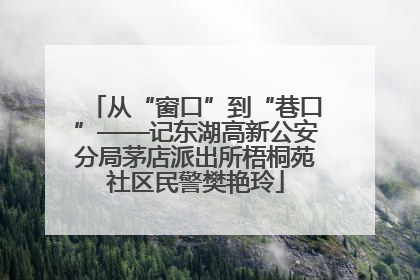 从“窗口”到“巷口”——记东湖高新公安分局茅店派出所梧桐苑社区民警樊艳玲