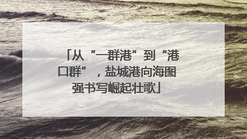 从“一群港”到“港口群”，盐城港向海图强书写崛起壮歌