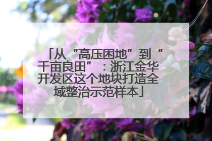 从“高压困地”到“千亩良田”：浙江金华开发区这个地块打造全域整治示范样本