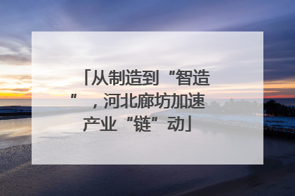 从制造到“智造”，河北廊坊加速产业“链”动