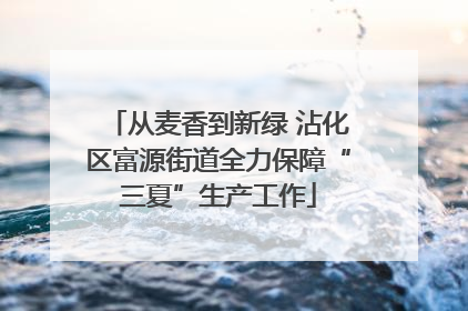 从麦香到新绿 沾化区富源街道全力保障“三夏”生产工作