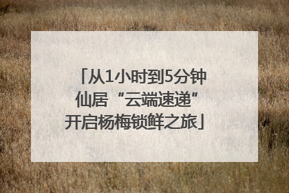 从1小时到5分钟 仙居“云端速递”开启杨梅锁鲜之旅