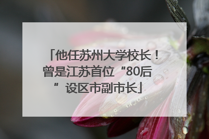 他任苏州大学校长！曾是江苏首位“80后”设区市副市长