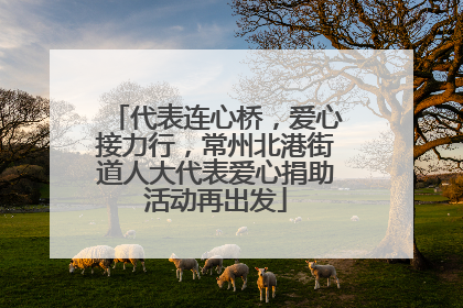 代表连心桥，爱心接力行，常州北港街道人大代表爱心捐助活动再出发