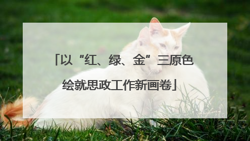 以“红、绿、金”三原色 绘就思政工作新画卷