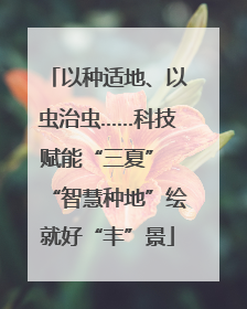 以种适地、以虫治虫……科技赋能“三夏” “智慧种地”绘就好“丰”景