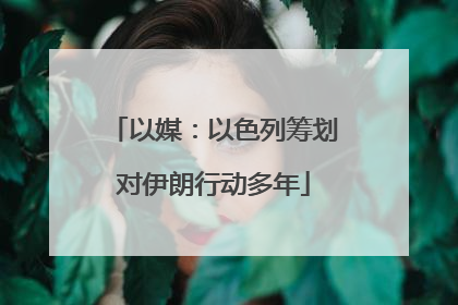 以媒：以色列筹划对伊朗行动多年