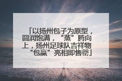 以扬州包子为原型，圆润饱满，“蒸”腾向上，扬州足球队吉祥物“包赢”亮相即售罄