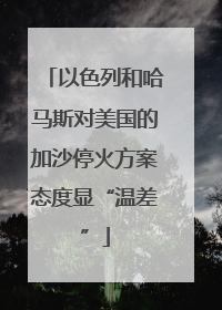 以色列和哈马斯对美国的加沙停火方案态度显“温差”