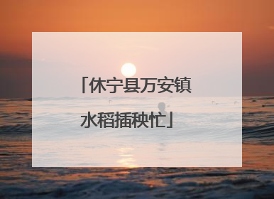 休宁县万安镇水稻插秧忙