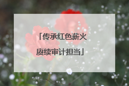 传承红色薪火 赓续审计担当
