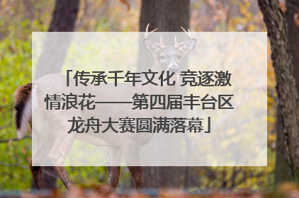 传承千年文化 竞逐激情浪花——第四届丰台区龙舟大赛圆满落幕