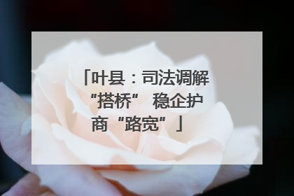 叶县：司法调解“搭桥” 稳企护商“路宽”