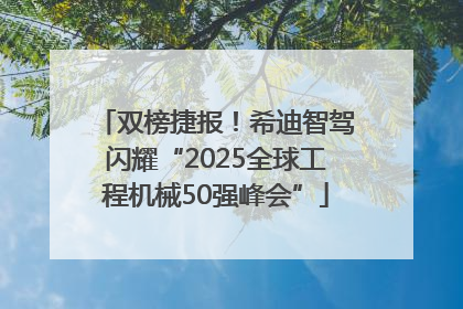 双榜捷报！希迪智驾闪耀“2025全球工程机械50强峰会”
