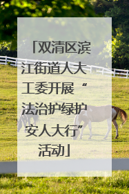 双清区滨江街道人大工委开展“法治护绿护安人大行”活动