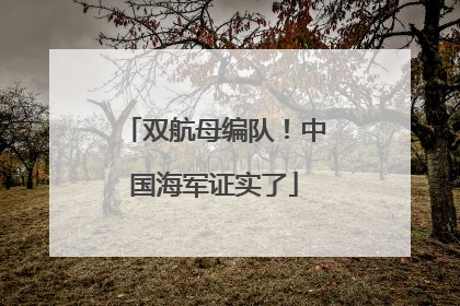 双航母编队！中国海军证实了