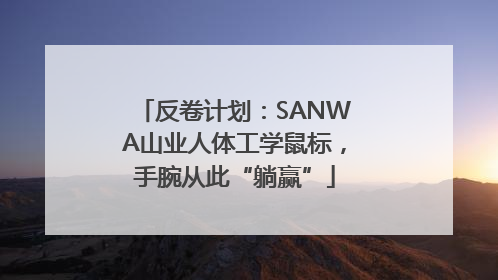 反卷计划：SANWA山业人体工学鼠标，手腕从此“躺赢”